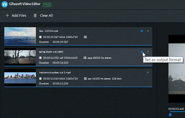 Gihosoft Video Editor 2